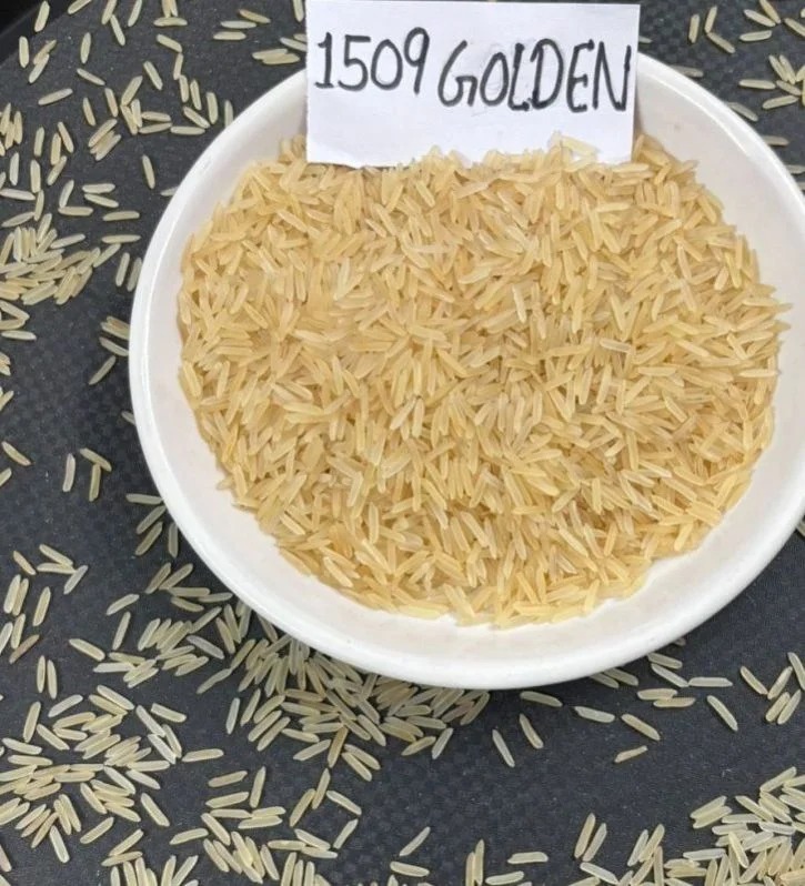 1509 Golden Sella Basmati Rice